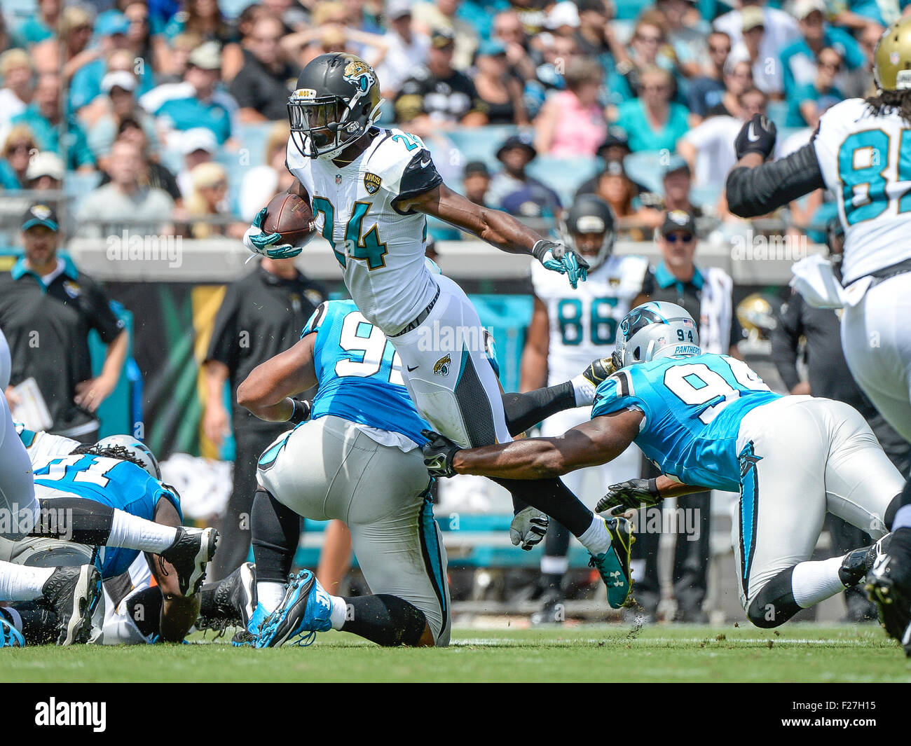 Jacksonville, FL, USA. 13th Sep, 2015. Jaguars running back T.J. Yeldon (24) leaps over the arms of Panthers defensive end Kony Ealy (94) for extra yrads during 1st half NFL game action between the Carolina Panthers and the Jacksonville Jaguars at EverBank Field in Jacksonville, Fl. Romeo T Guzman/CSM. © csm/Alamy Live News Stock Photo