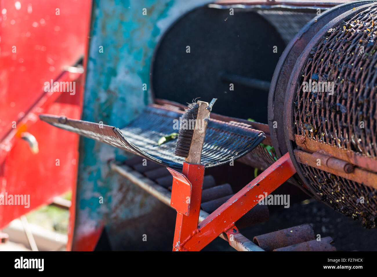 Roasting chili peppers in outdoor chili roaster Stock Photo Alamy