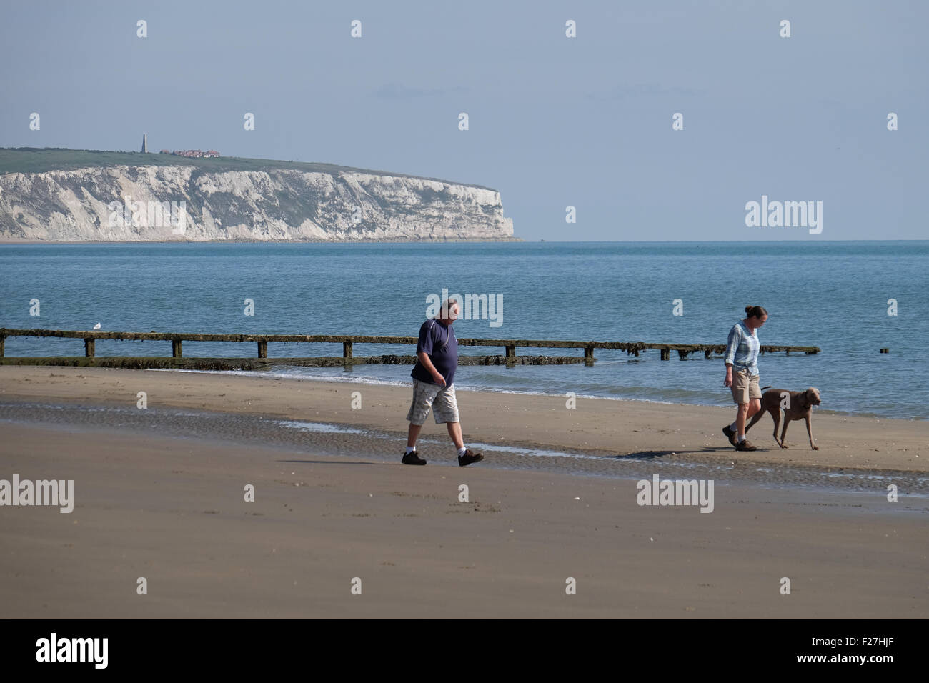 Dog walking on the beach at Lake on the Isle of Wight, UK Stock Photo