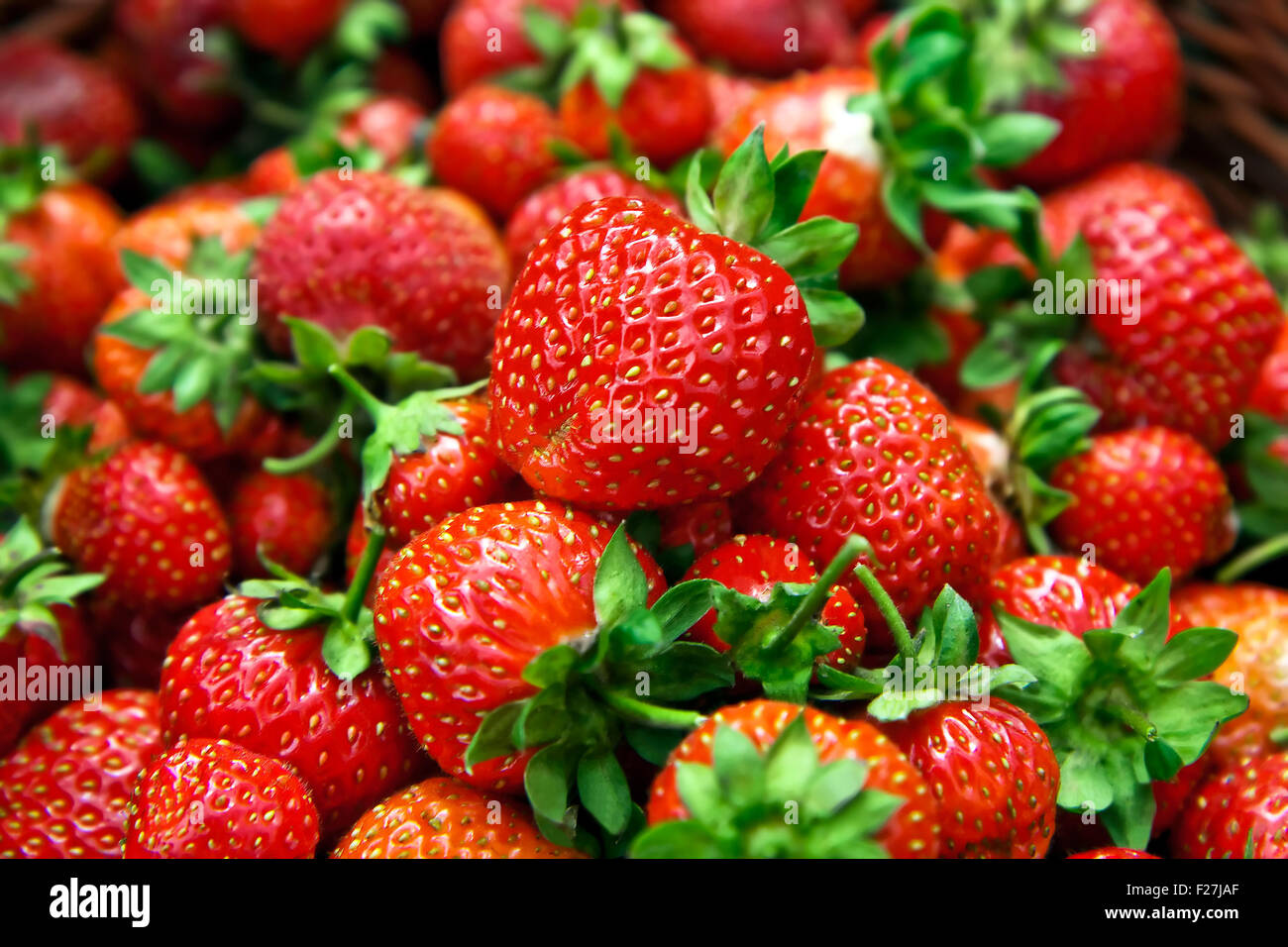 Large group fresh strawberries hi-res stock photography and images - Alamy
