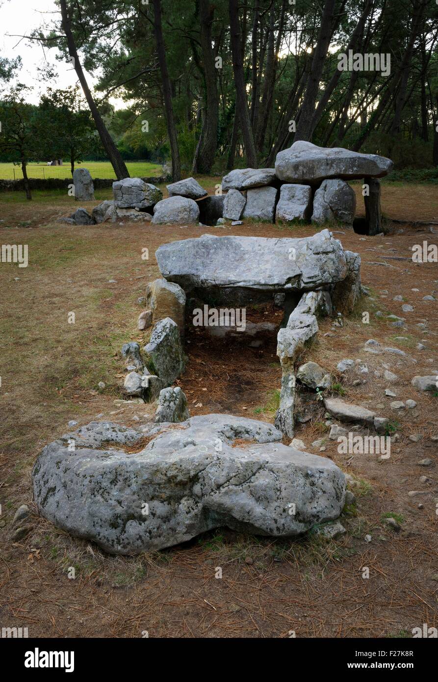 Neolithic dolmen burial chamber complex of Mane Kerioned. Brittany, France. The western passage grave behind the central dolmen Stock Photo