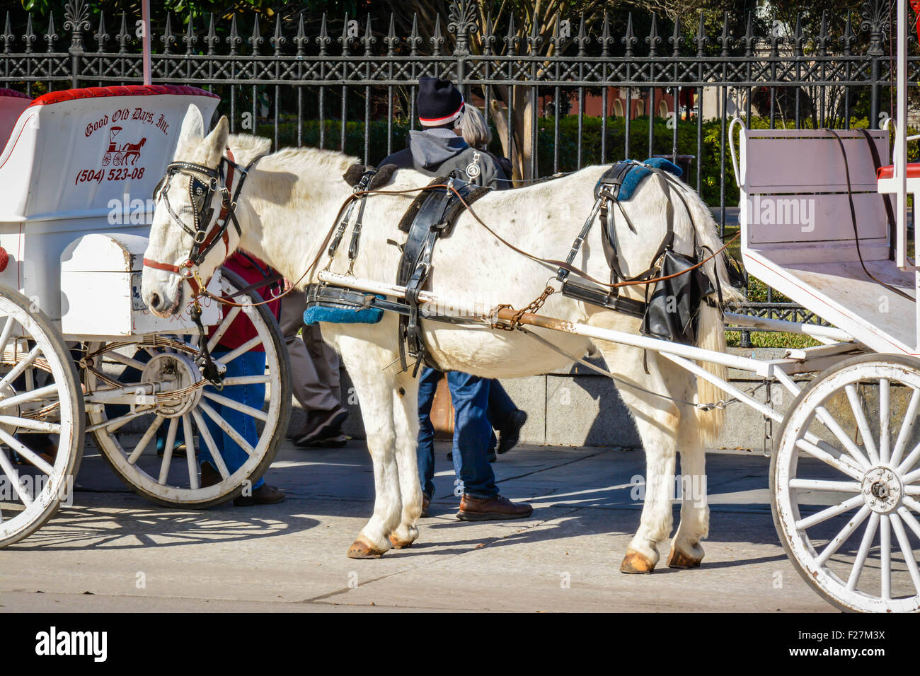 jackson square carriage rides