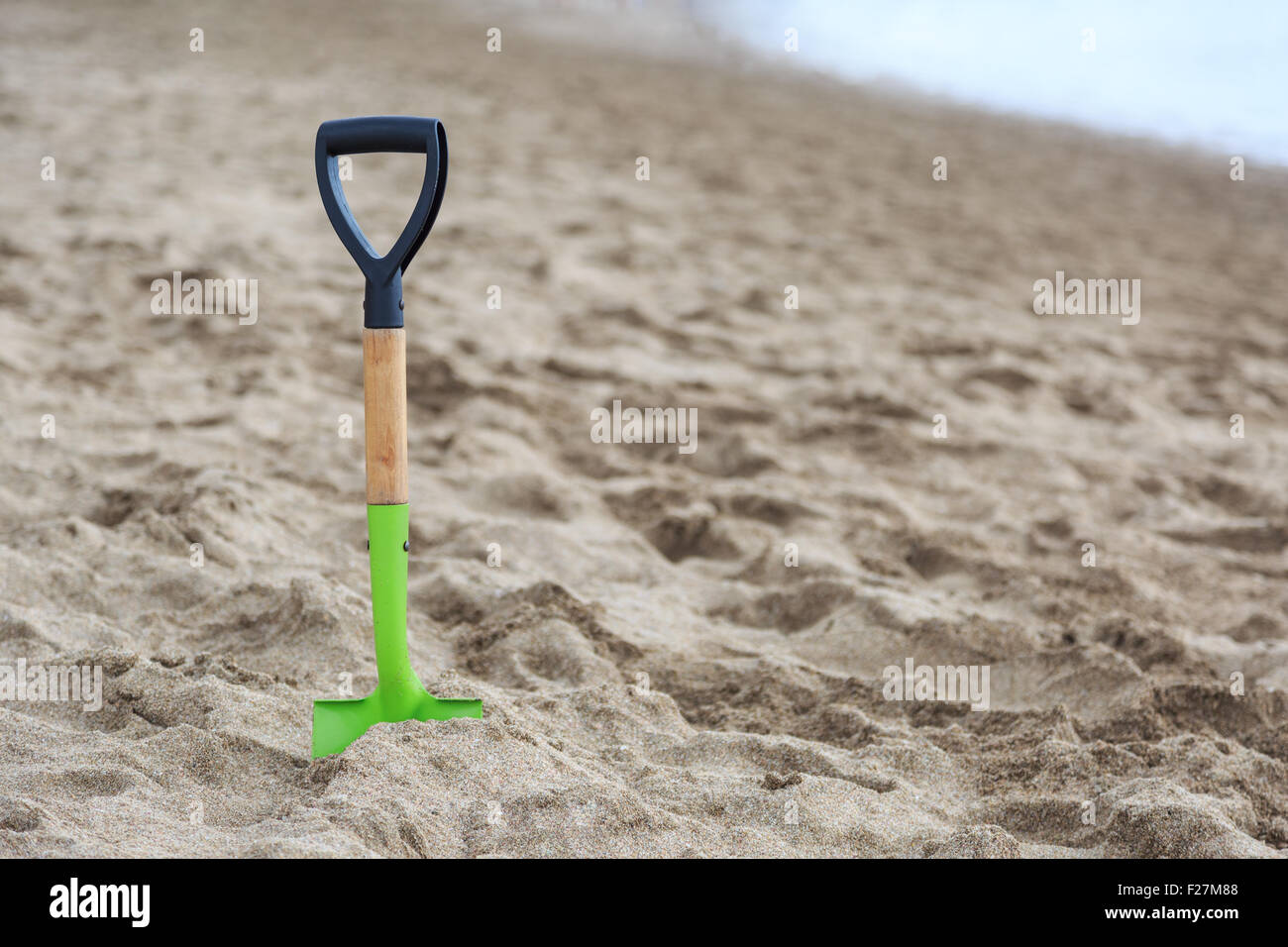 A lime green spade in in the sand of hotwater beach near Hahei, New Zealand Stock Photo