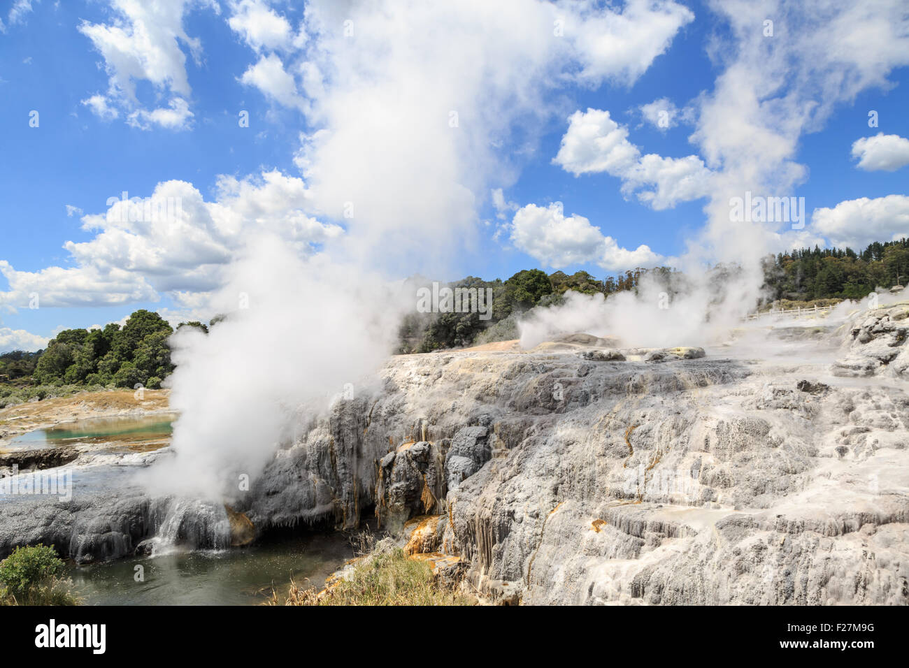 Hot sources and geysirs steaming in Te Puia a park with geothermal activity near Rotorua, New Zealand Stock Photo