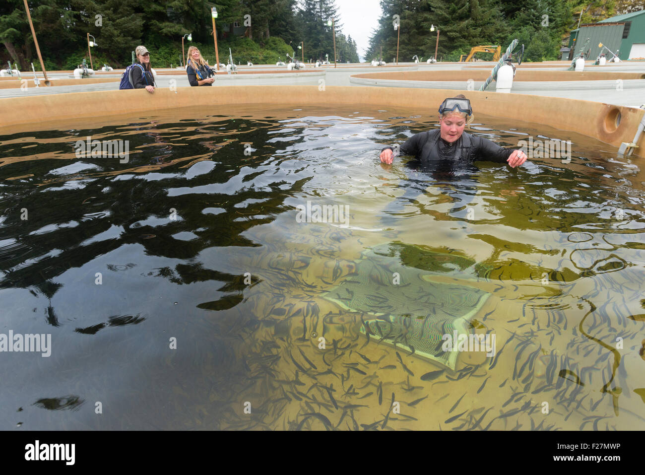 Salmon hatchery alaska hires stock photography and images Alamy