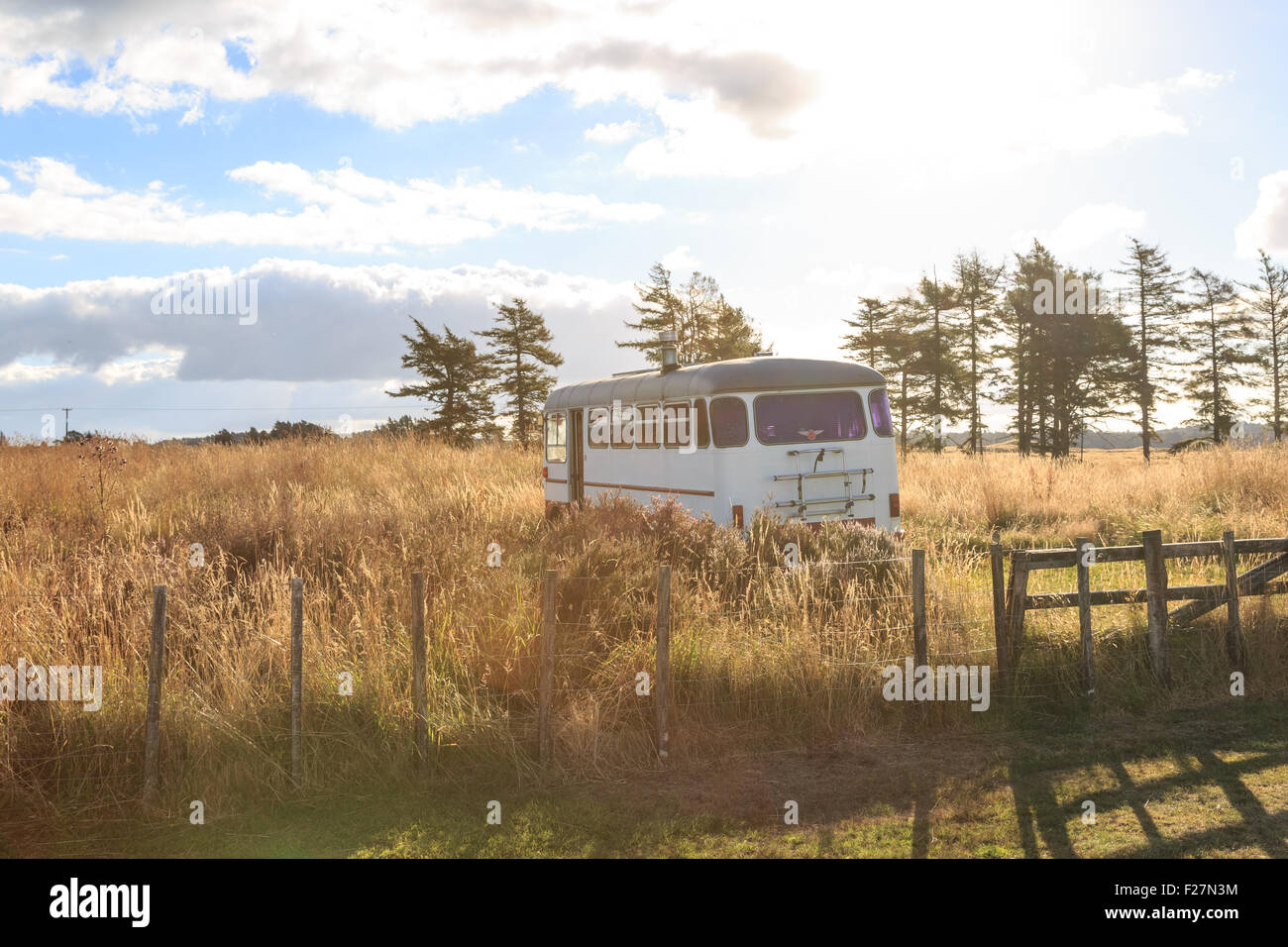 A white vintage bus in a field on the countryside Stock Photo