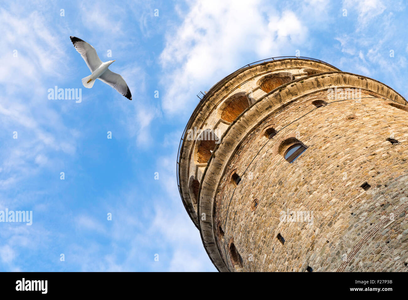 Flying seagull near the Galata Tower is a medieval stone tower in the Galata, Istanbul, Turkey Stock Photo