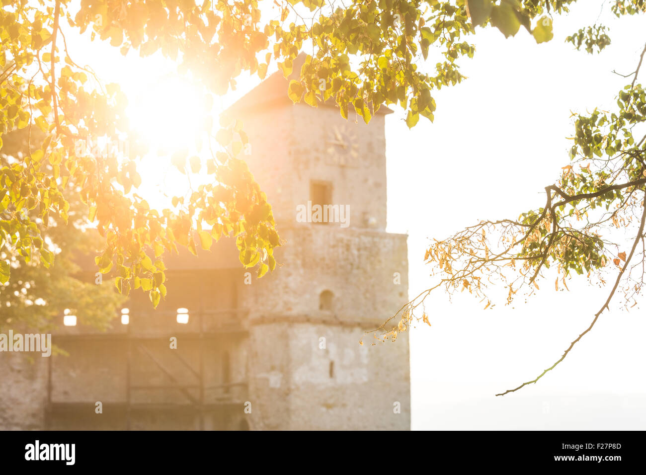 A tower of Trencin castle with a clock at sunset behind branches Stock Photo