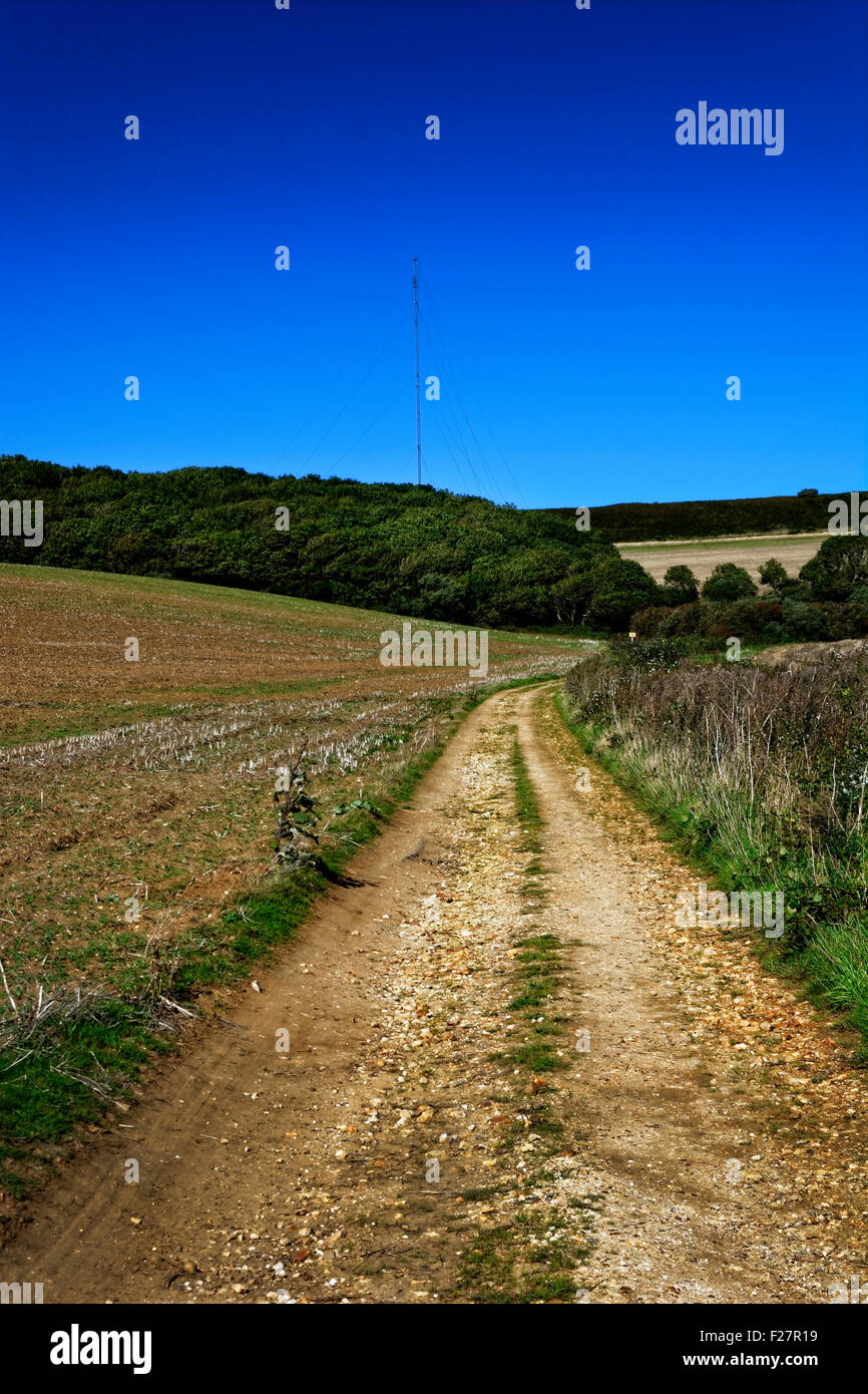 Looking across from Sheard’s Copse towards Northcourt Down and the