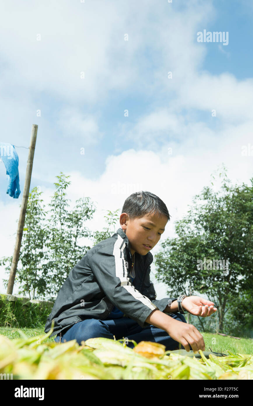 Boy shaking out the seeds of a fruit, Nepal Stock Photo