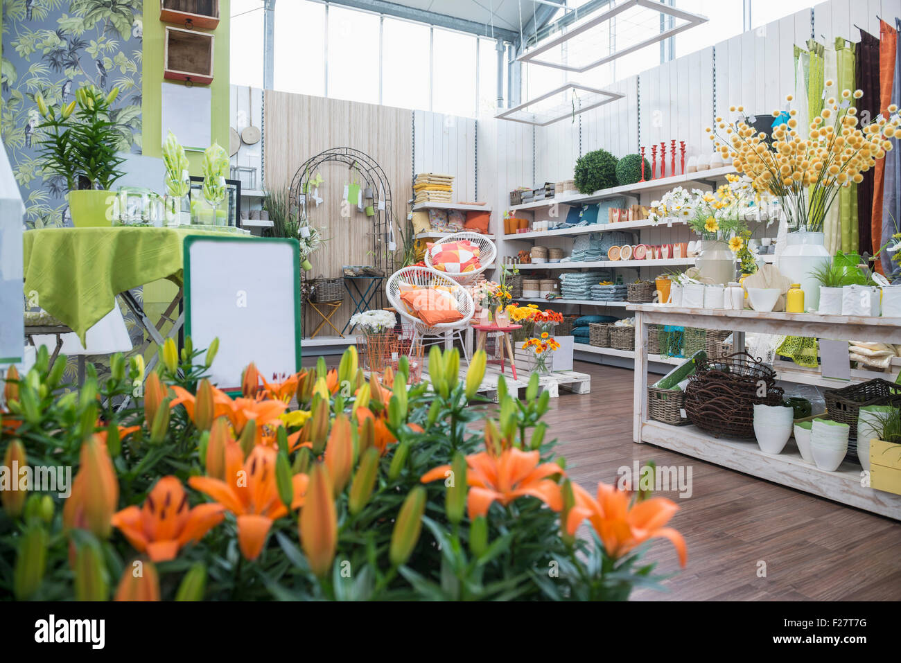 Flowers for sale in garden centre, Augsburg, Bavaria, Germany Stock