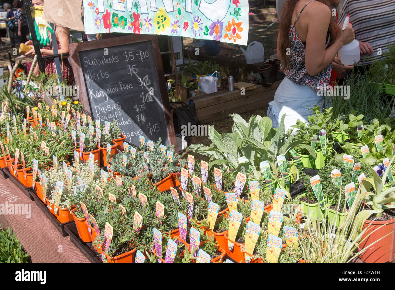 Plant stall outside at Sydney primary school hosts the local community fete fair to raise funds for the school, Avalon,Sydney, Australia Stock Photo