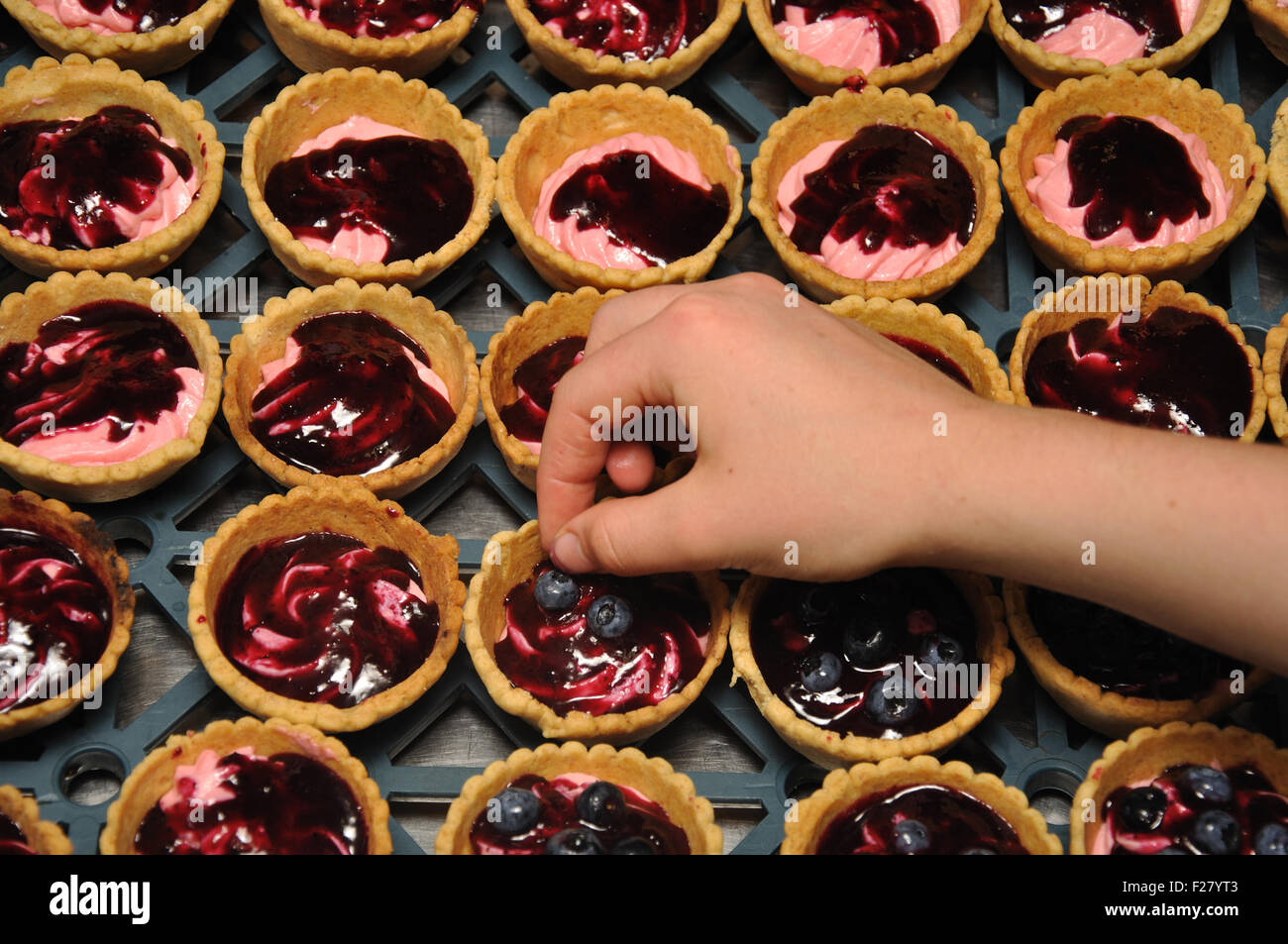 cook adding blueberries to a tray of blueberry tarts Stock Photo