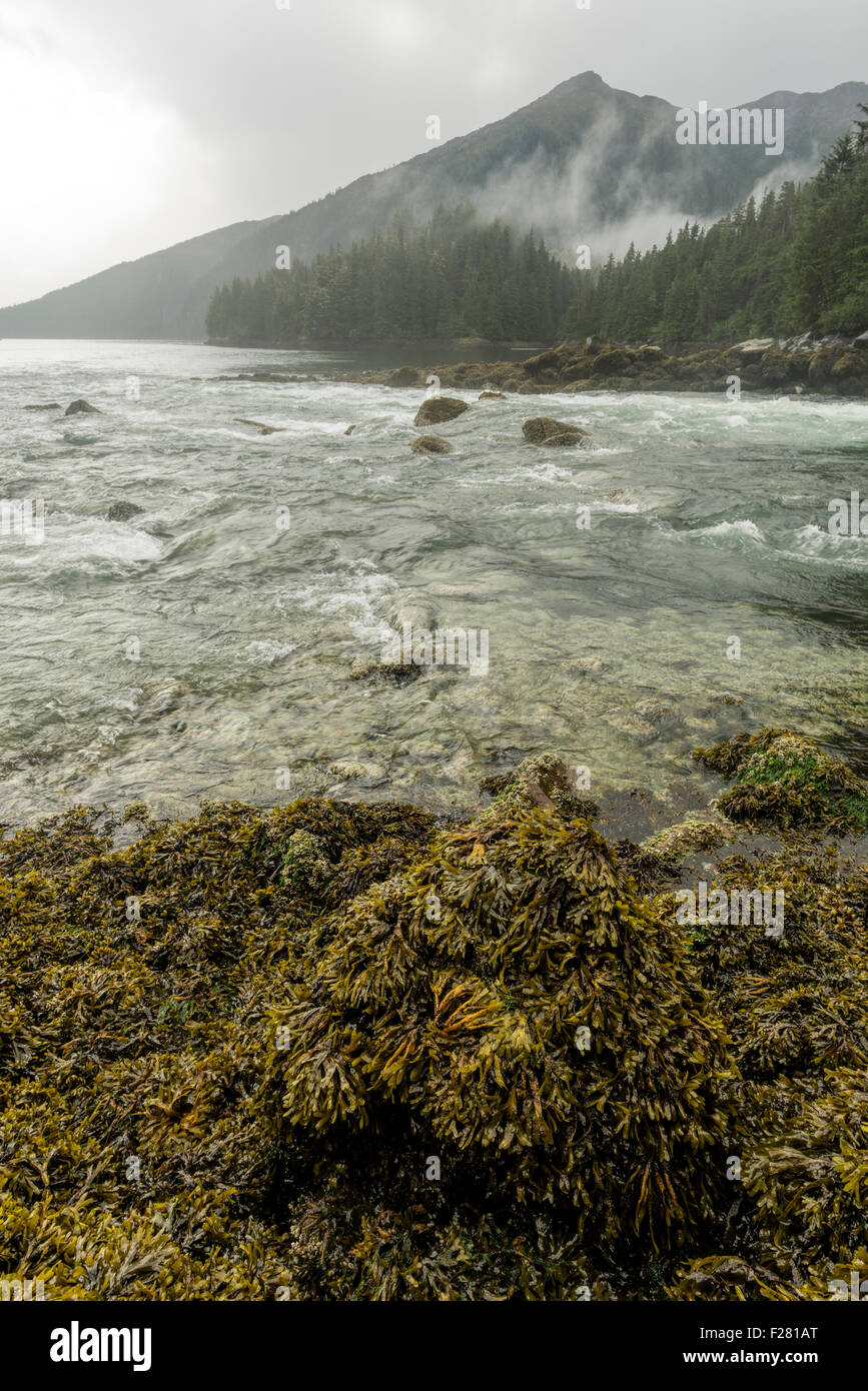 Intertidal area at the mouth of the Baranof River in Southeast Alaska. Stock Photo