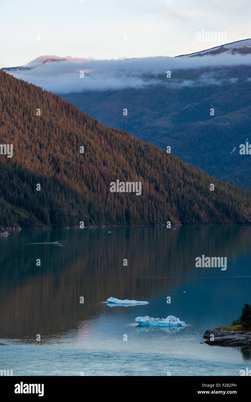 Icebergs in Fords Terror, a glacial fiord in Southeast Alaska Stock