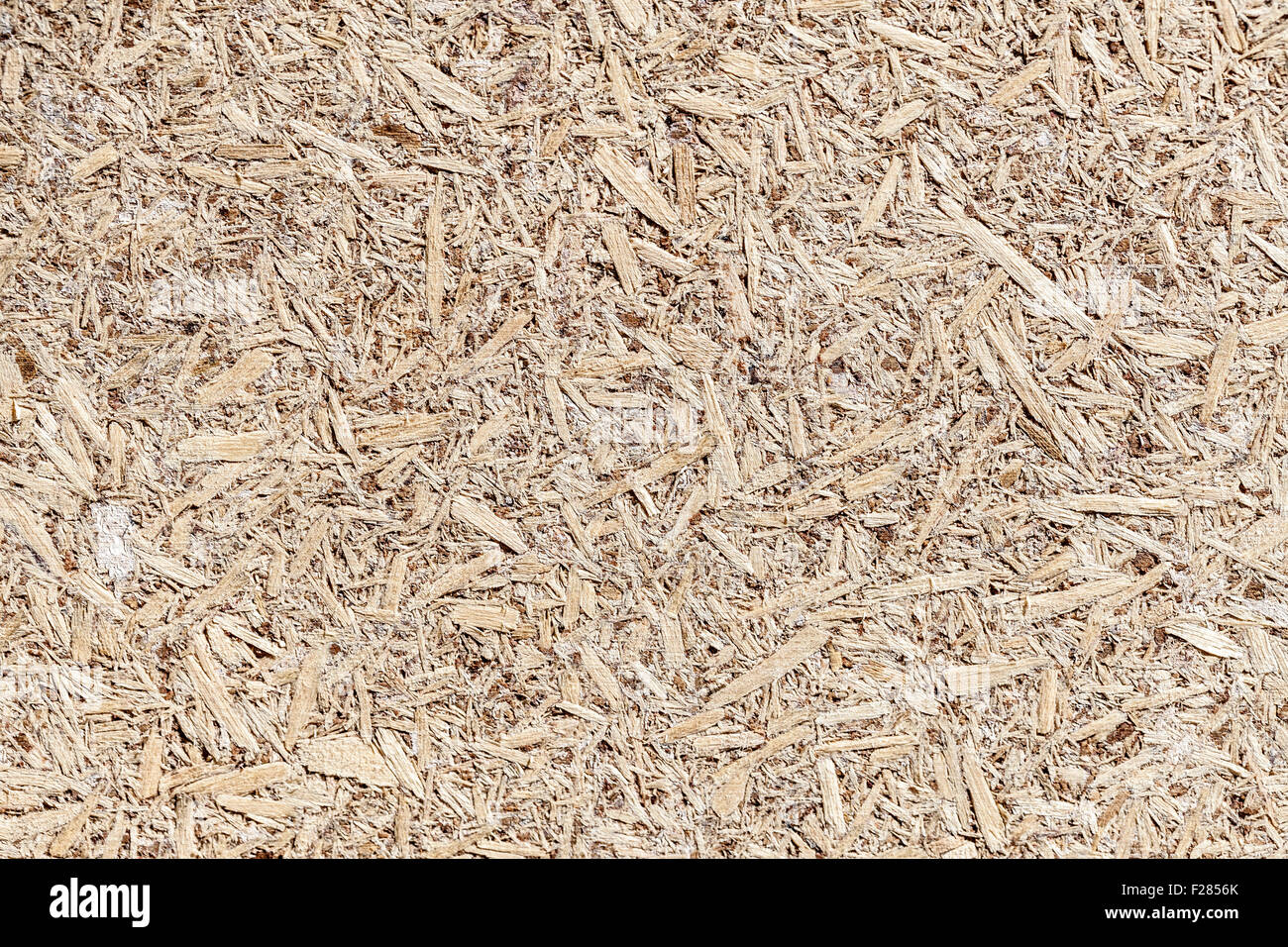 Wood Particle Board Stock Photo