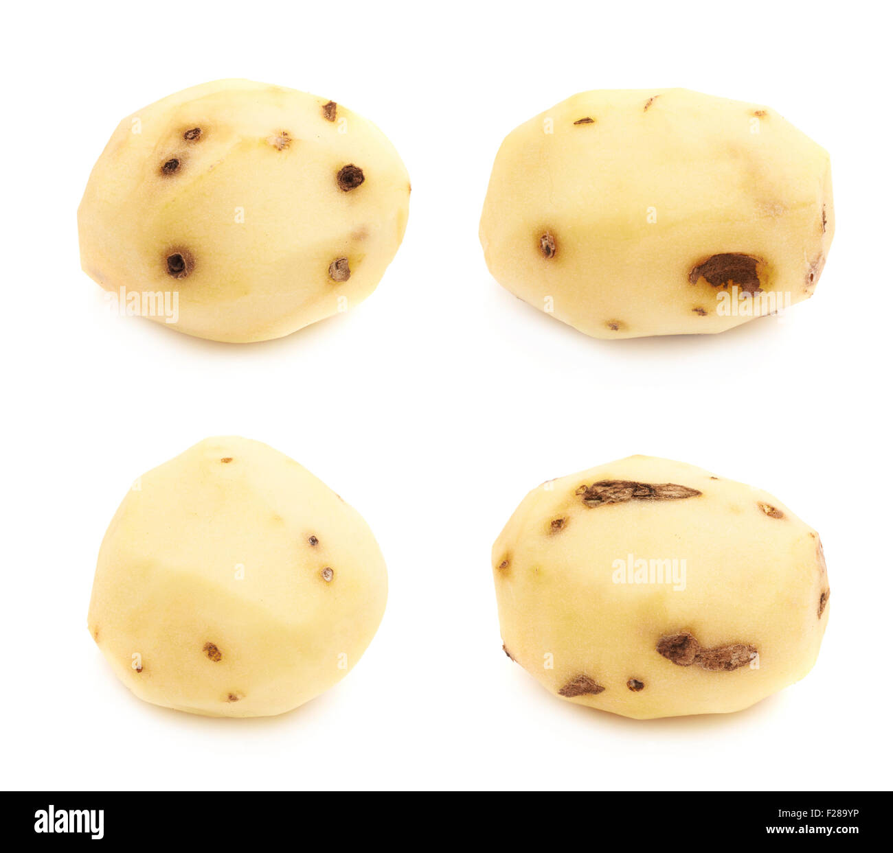 Peeled clean yellow potato with the multiple black spots, isolated over