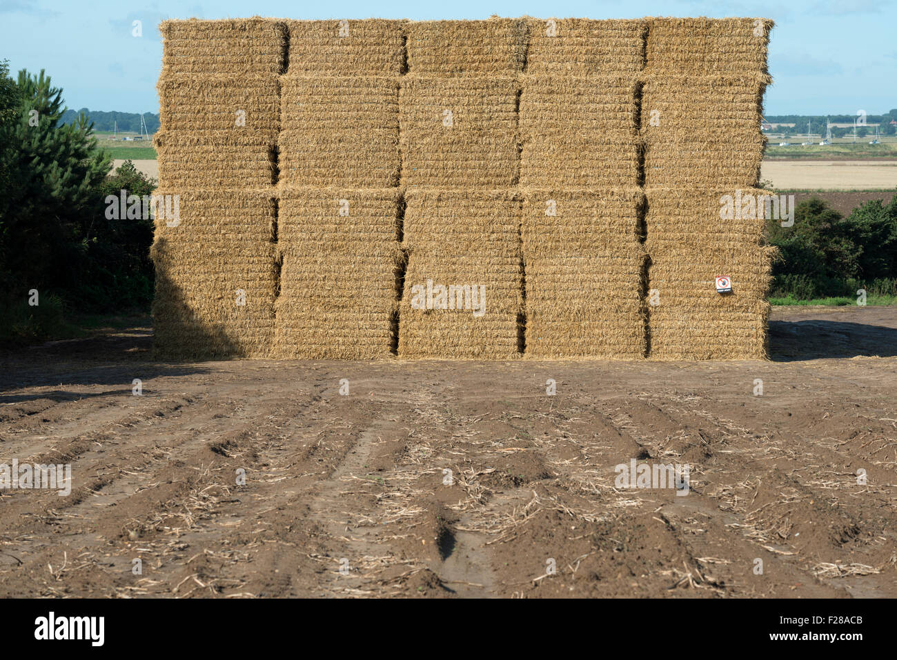 Large Straw Bales