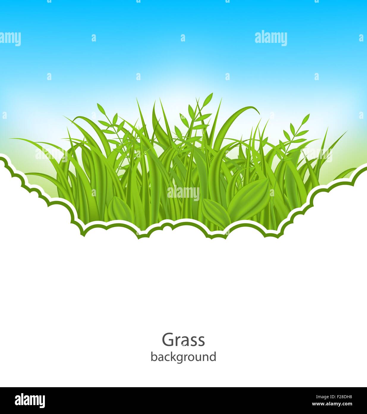 Summer Natural Postcard with Green Grass Stock Vector Image & Art - Alamy