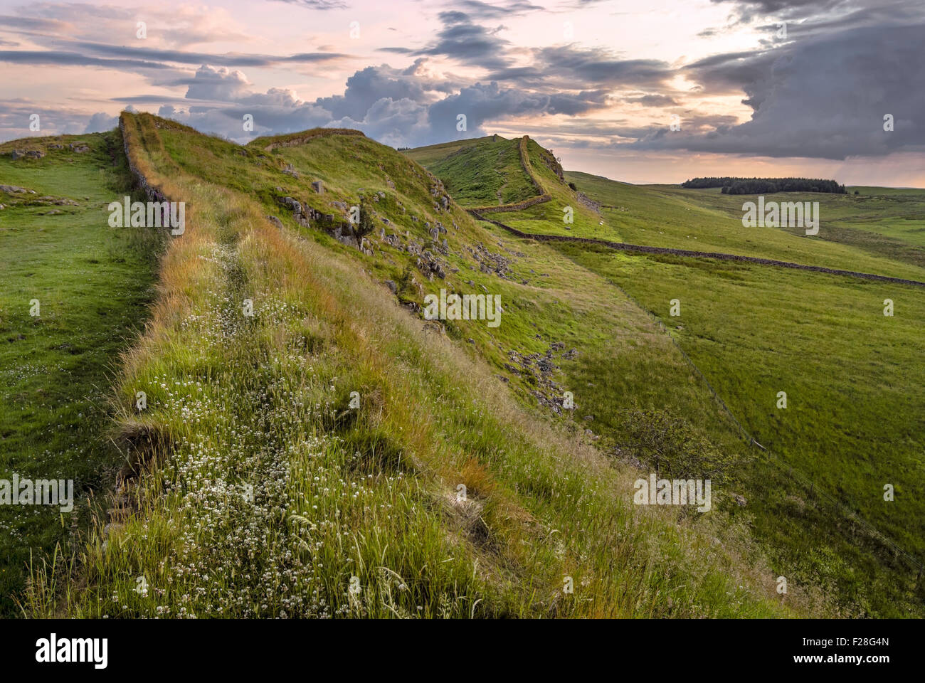 Dawn at the Hadrians Wall, North England | Stock Photo