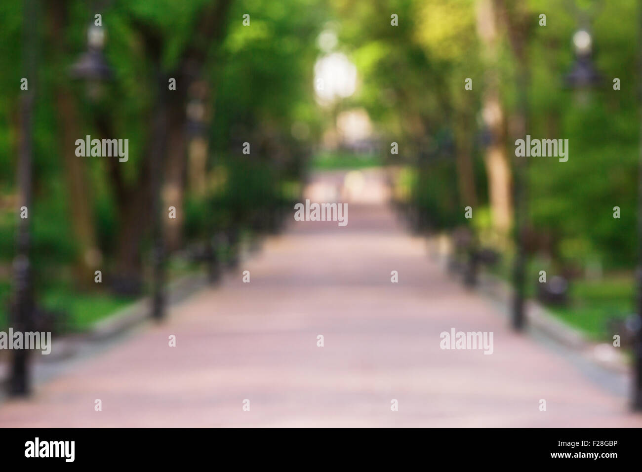View of blurred park alley whithout people, background Stock Photo - Alamy