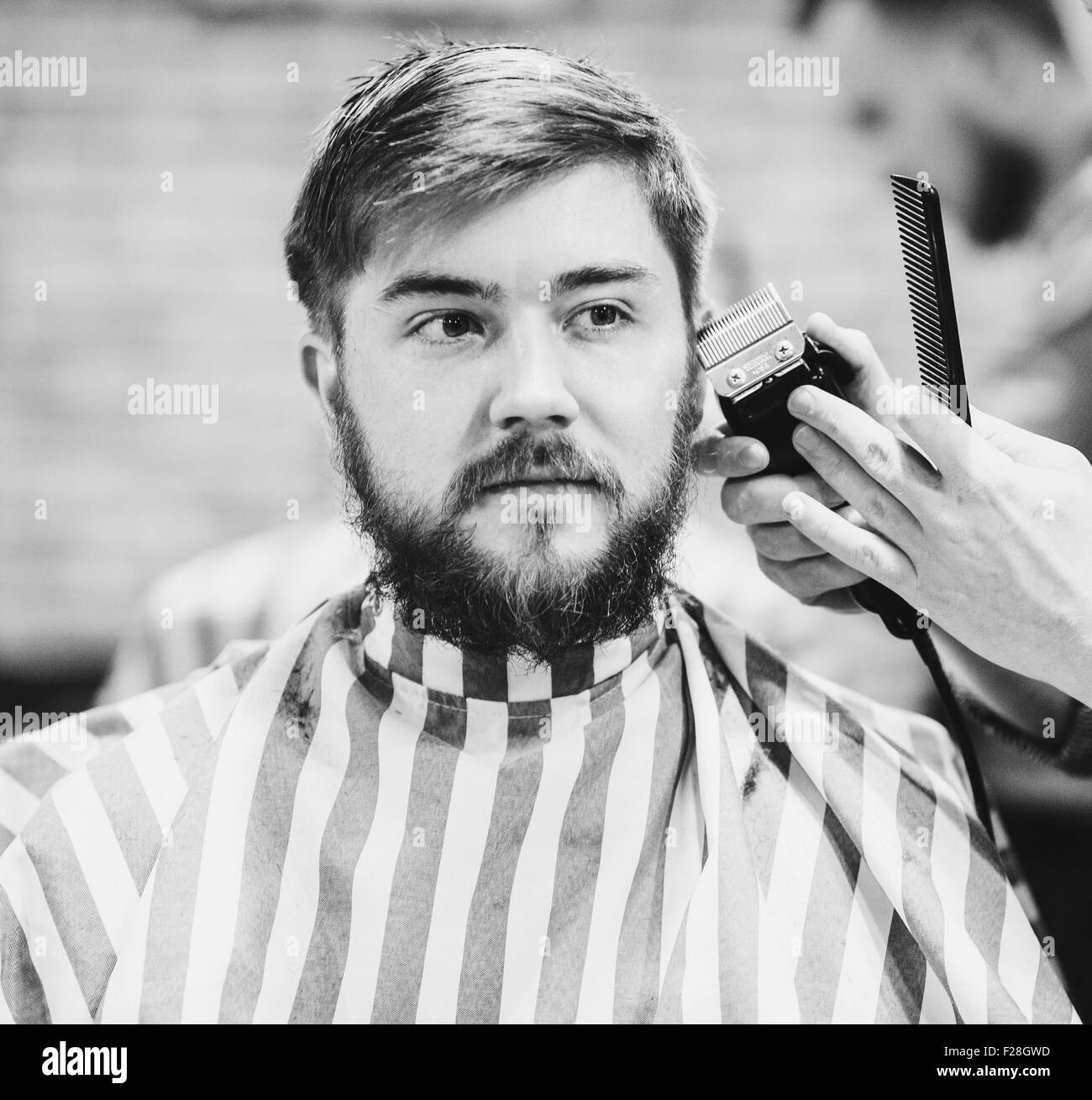 Barber cutting bearded guy in a barber shop, black and white Stock