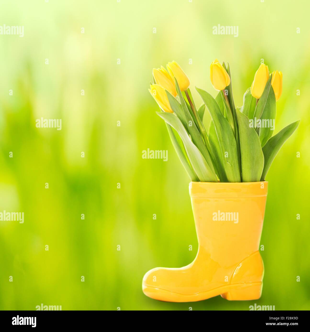 Vase with fresh tulips on abstract background Stock Photo - Alamy