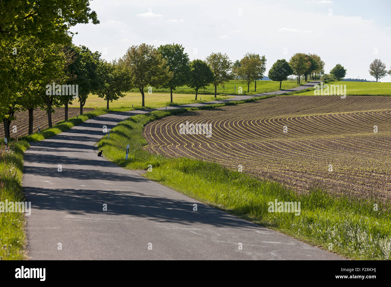 Road passing through rural landscape, Bavaria, Germany Stock Photo - Alamy