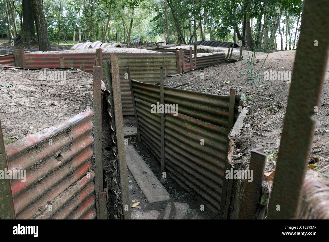 Preserved trenches in Sanctuary Wood, Flanders, Belgium Stock Photo