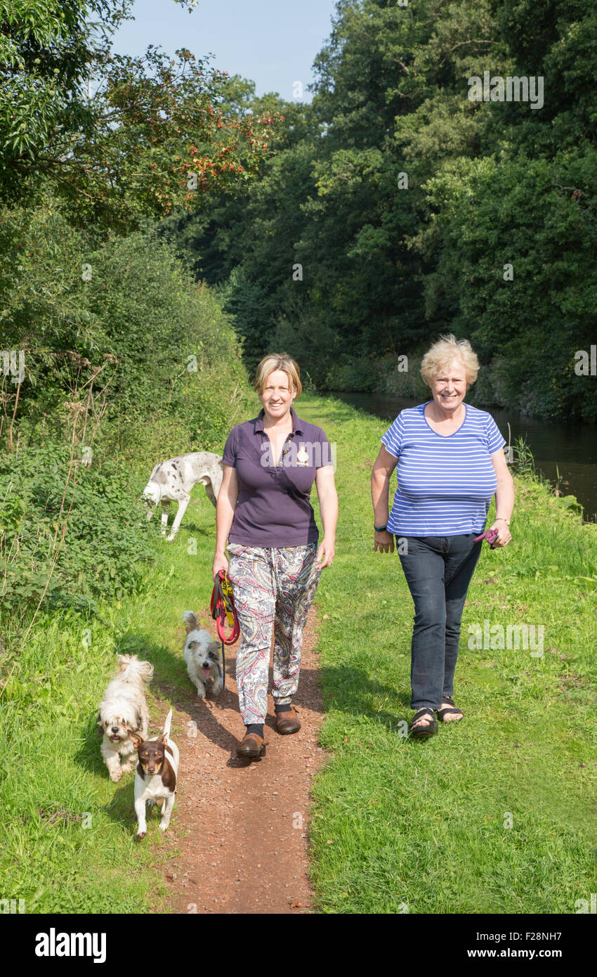 Two women walking their dogs on a canal towpath, England, UK Stock Photo