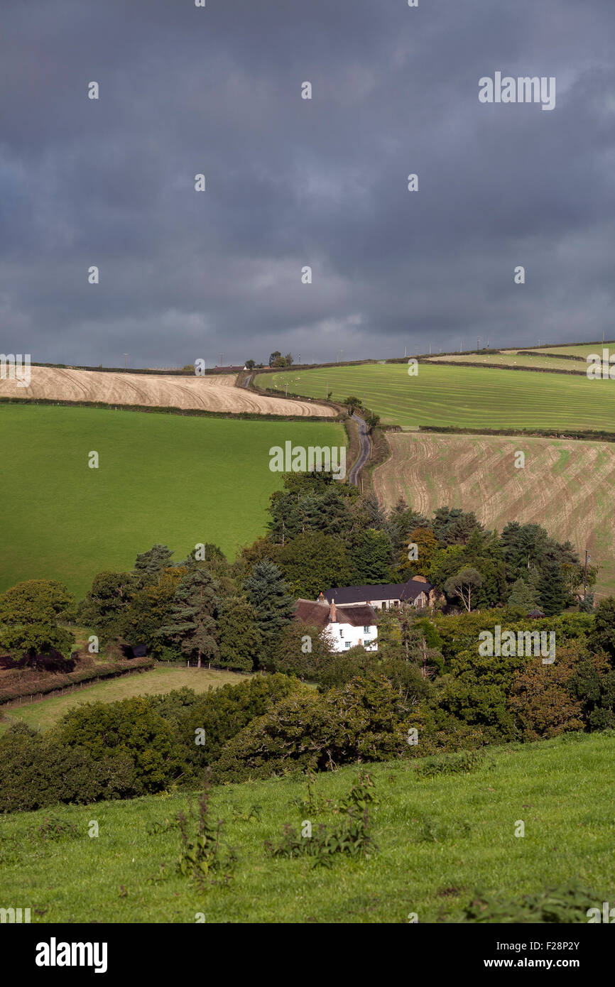 Cob and Thatch cottage in rolling devon fields and devon banks near