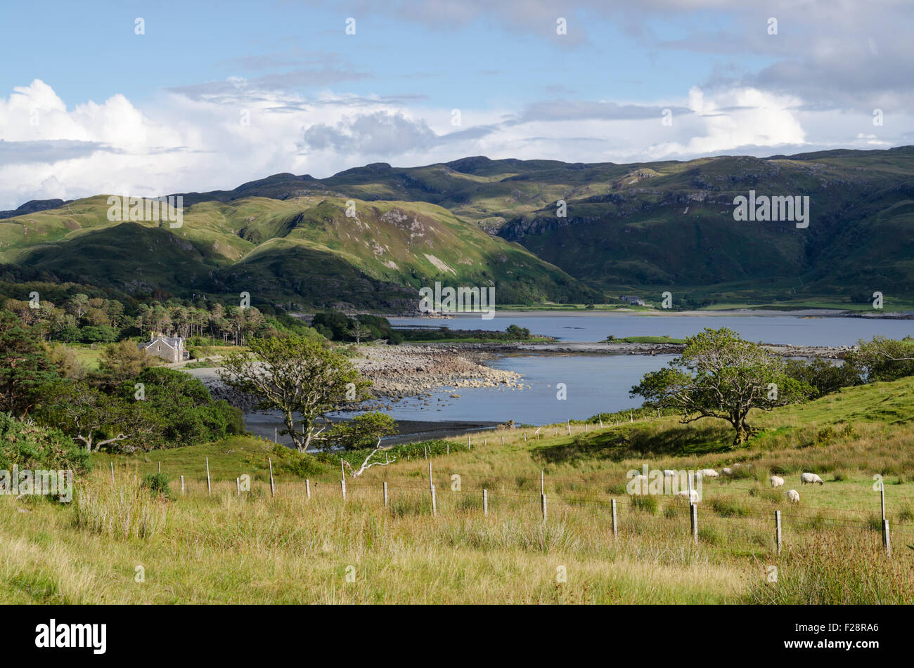 Loch Buie, Isle of Mull, Inner Hebrides, Argyle and Bute, Scotland, U.K. Stock Photo