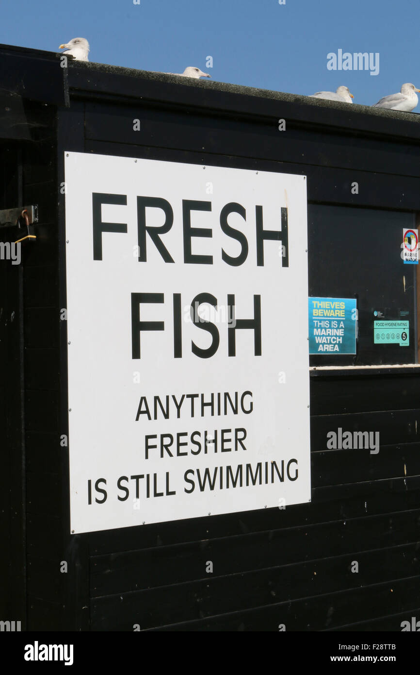Humorous sign on a fisherman's hut on Aldeburgh seafront Stock Photo