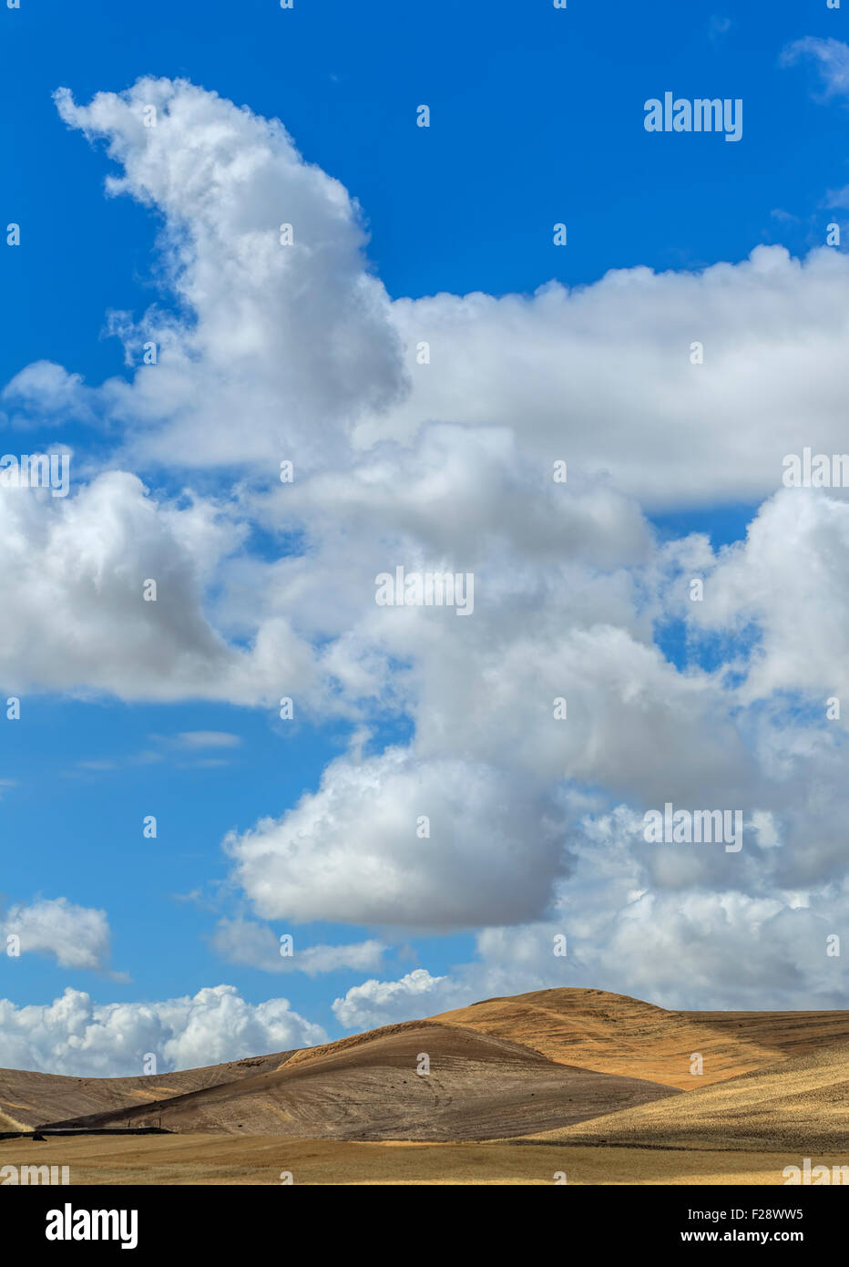 Fluffy clouds above rolling hills Stock Photo - Alamy