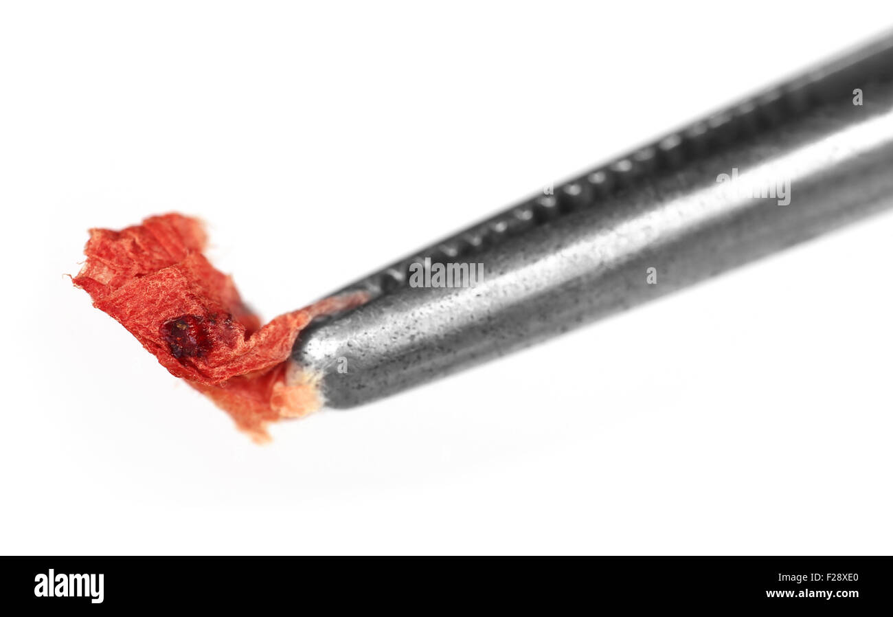 Blood in tissue paper with forceps Stock Photo Alamy