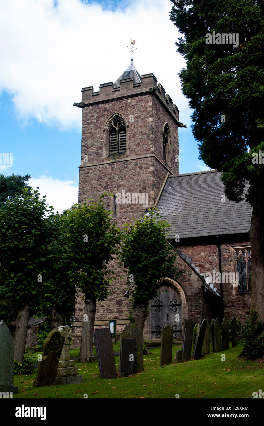 Oaks in charnwood hires stock photography and images Alamy