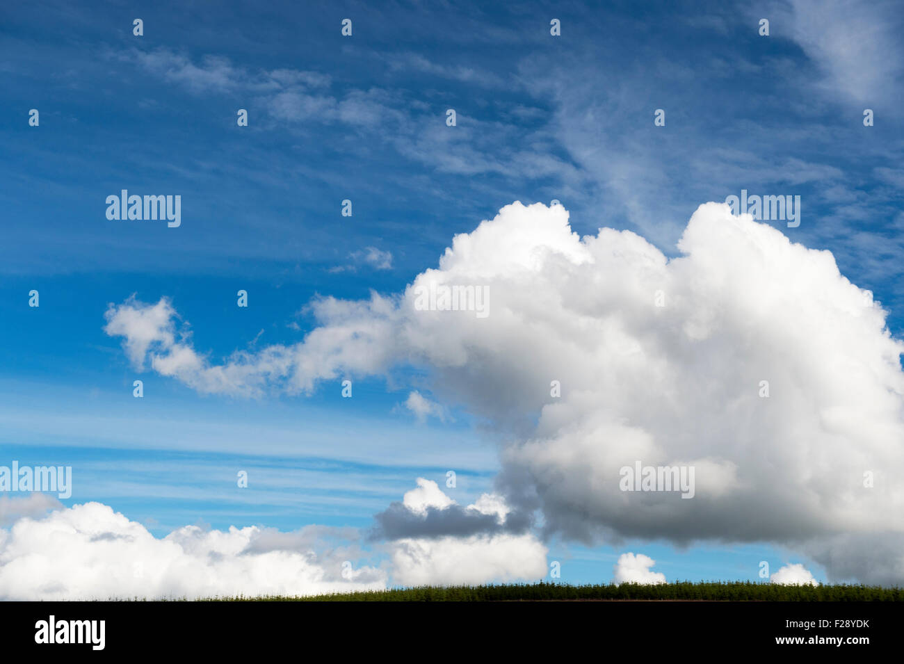 Cloud in the shape of an elephant in a blue sky Stock Photo