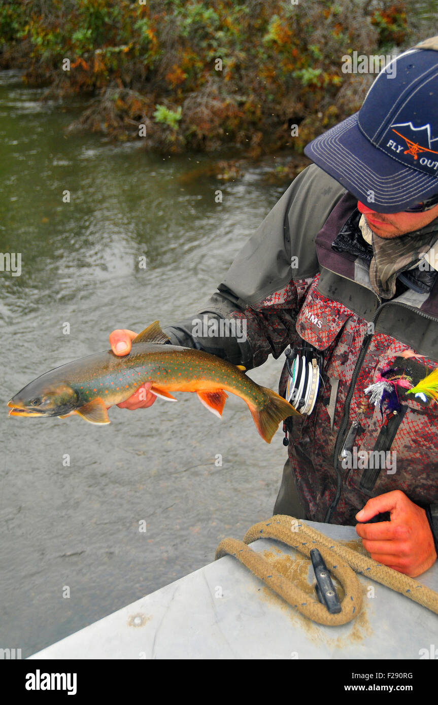 Alaska's Aniak River and its braids offer great fly fishing for dolly