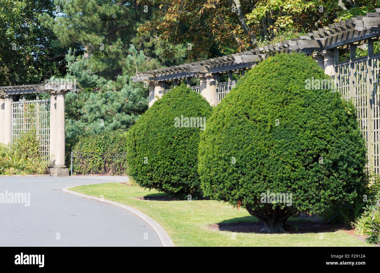 Ornamental garden trees hires stock photography and images Alamy
