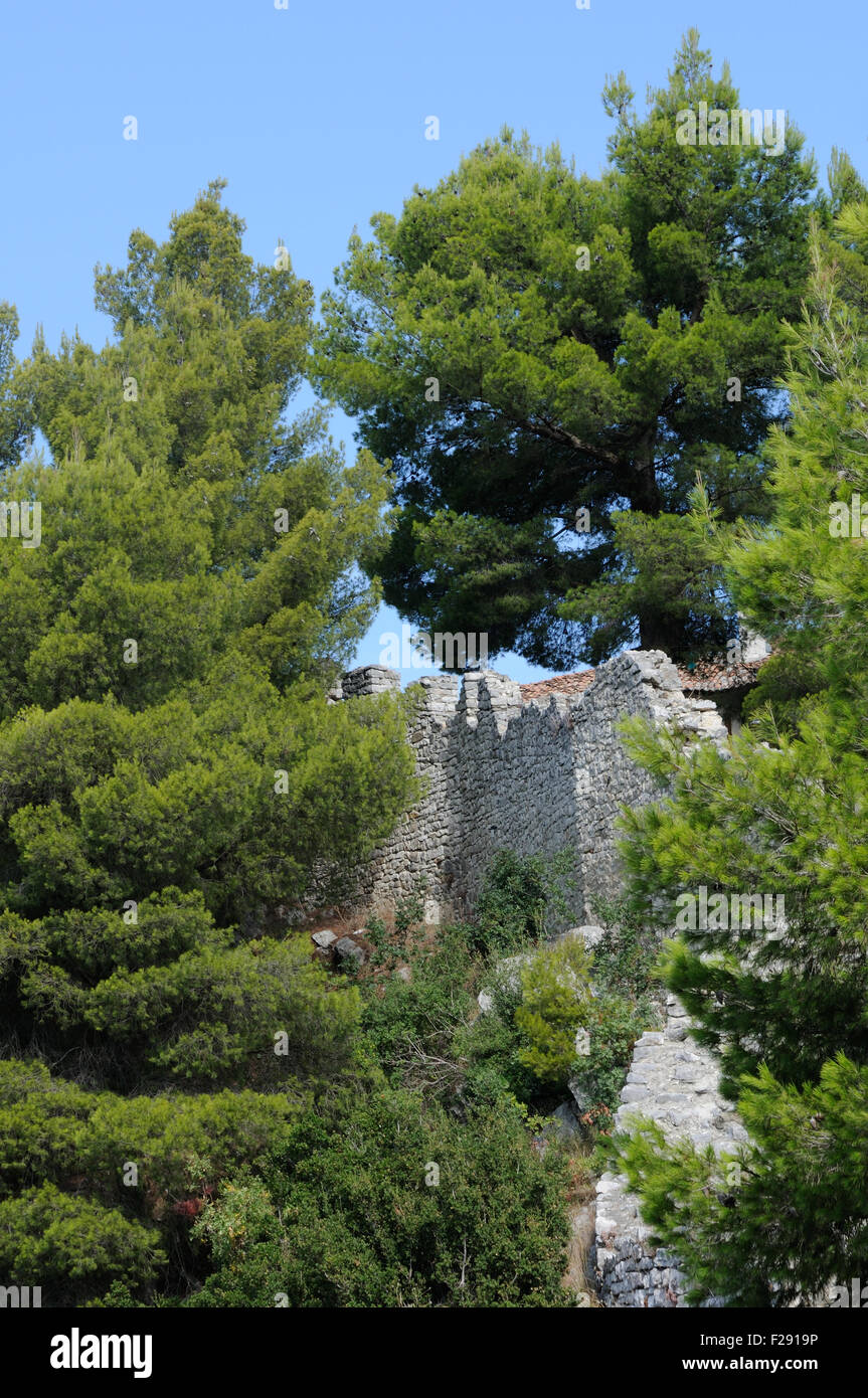 A ruined wall and pine trees in Berat Castle.  Berat, Albania Stock Photo