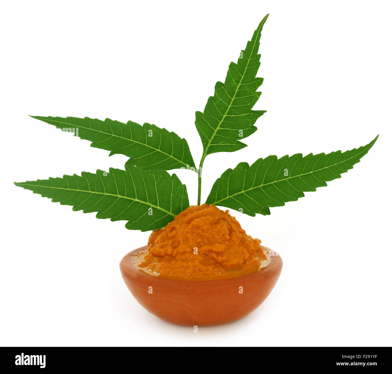 Medicinal turmeric paste with neem leaves over white background Stock