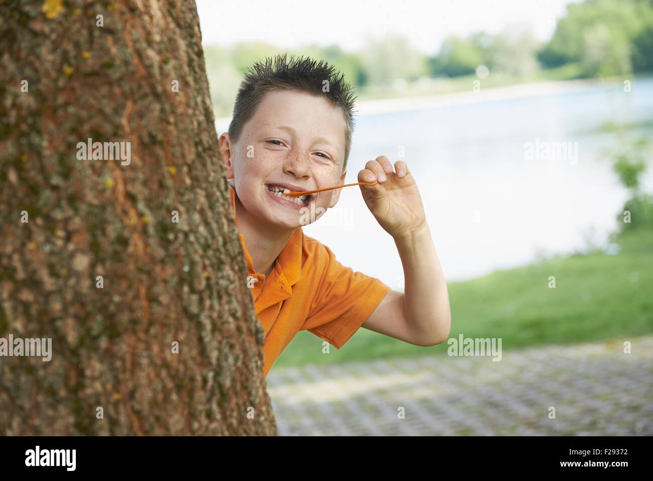 Boy pulling bubble gum and peeking out from behind a tree, Bavaria, Germany Stock Photo