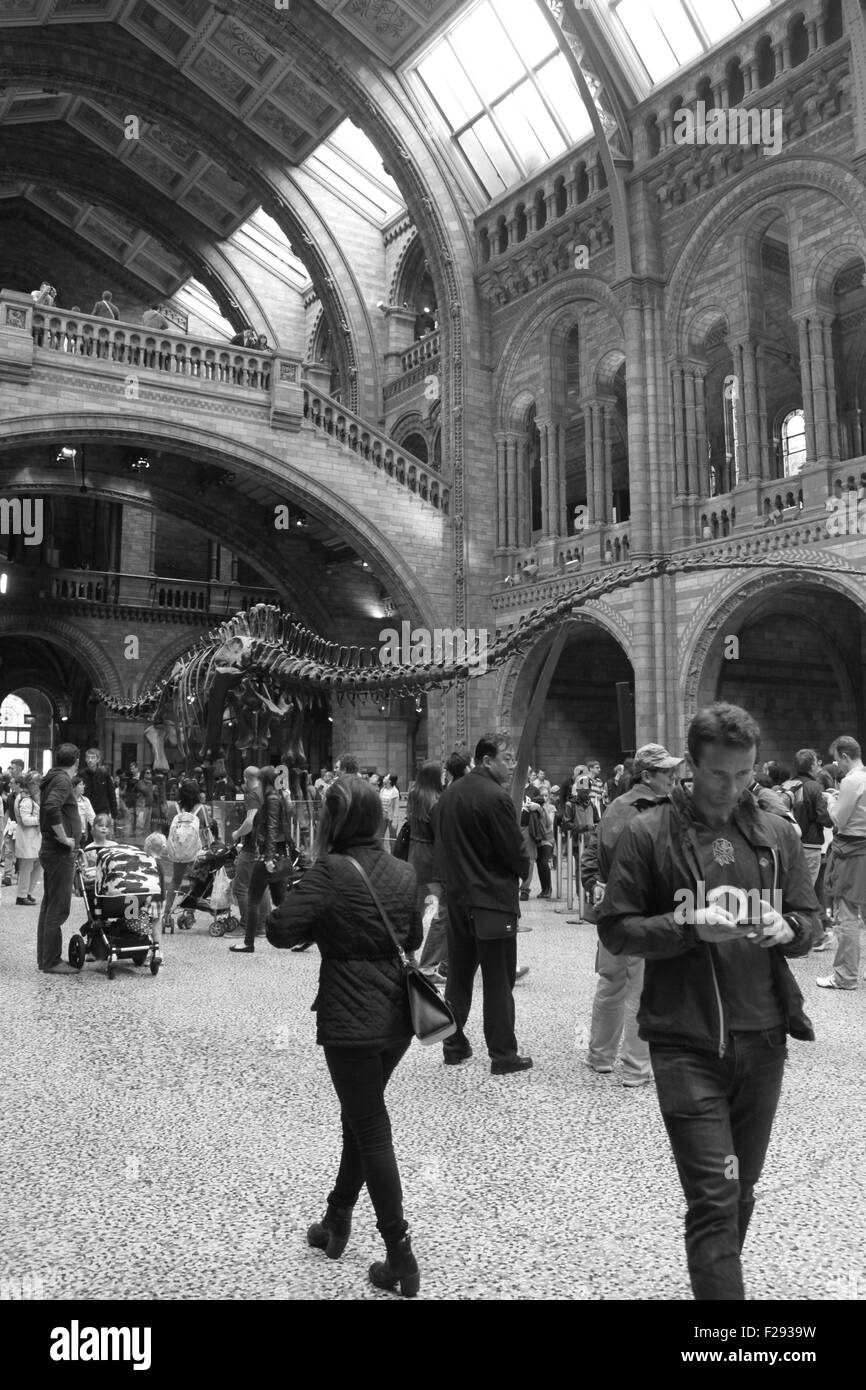 Black and white busy central hall of The Natural History Museum, London, England. Large dinosaur skeleton fills the space Stock Photo