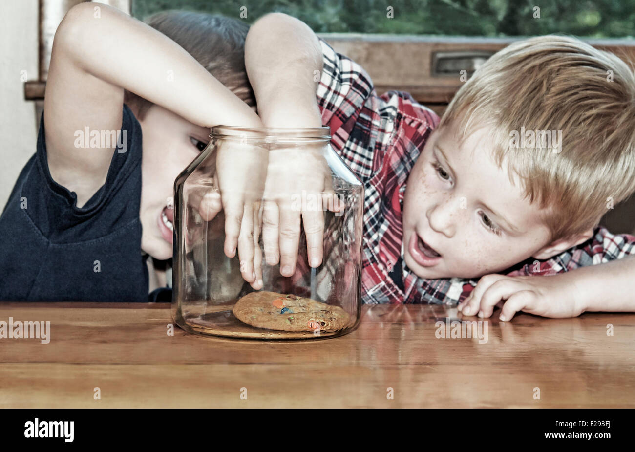 Two boys compete and reach for last cookie Stock Photo