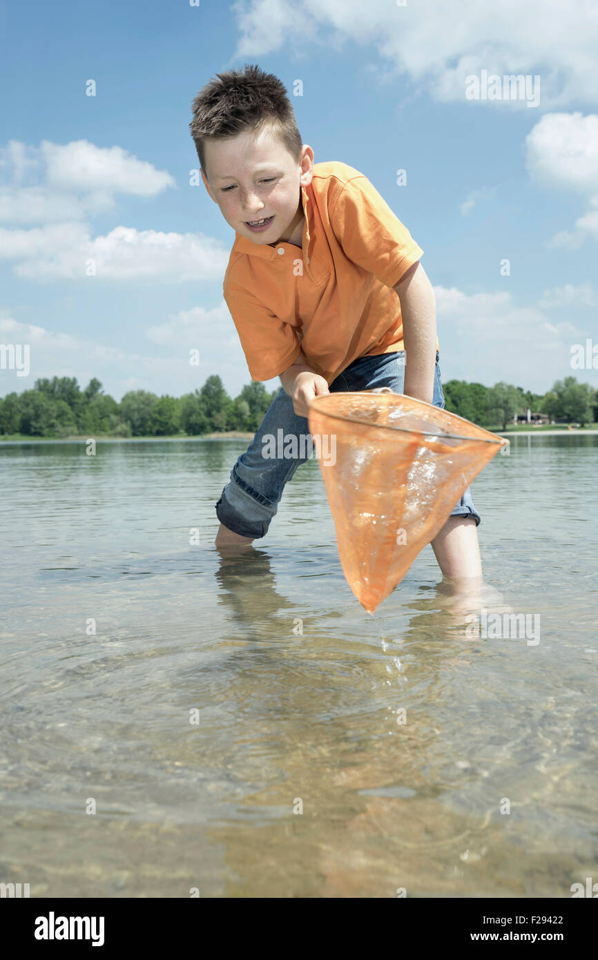 Boy catching fish with fishing net in the lake, Bavaria, Germany, Bavaria, Germany Stock Photo