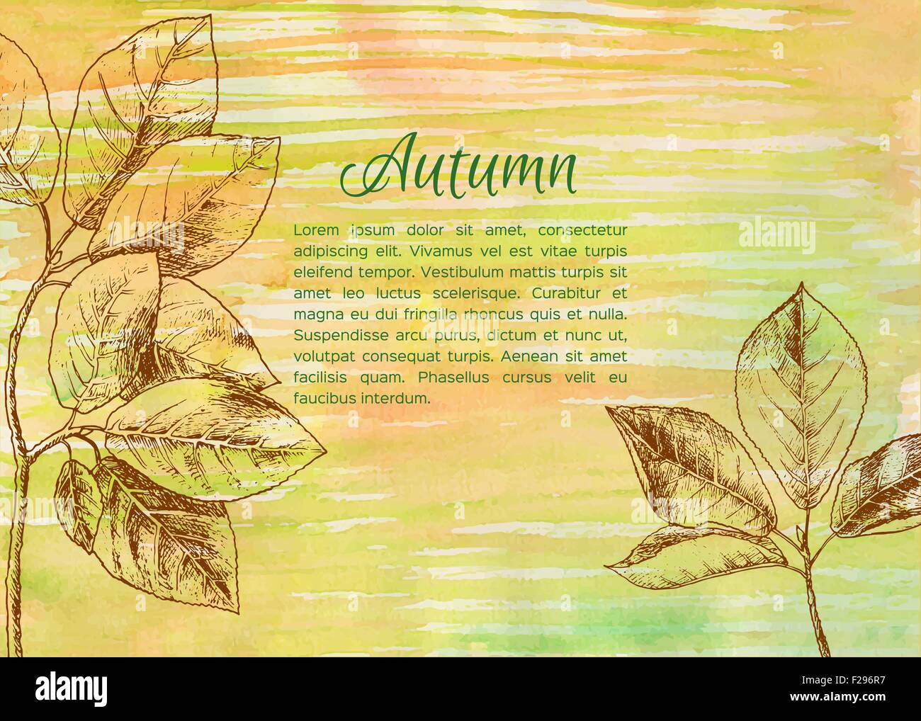 Hand drawn autumn leaves Stock Vector Image Art Alamy