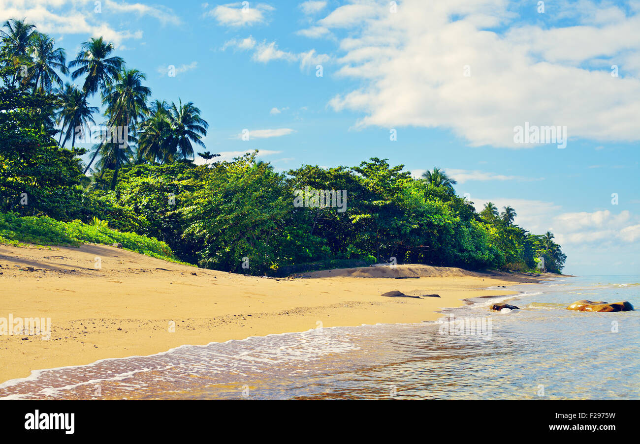 Tranquil tropical beach jungle hi-res stock photography and images - Alamy