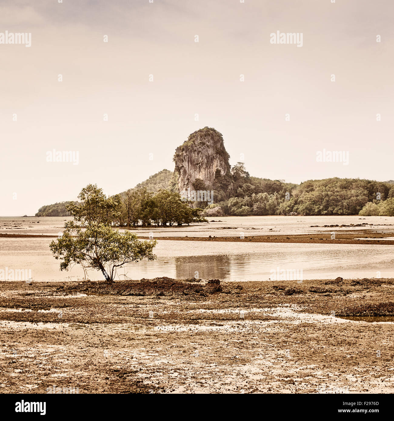 dramatic landscape at low tide in Thailand, sepia toned Stock Photo