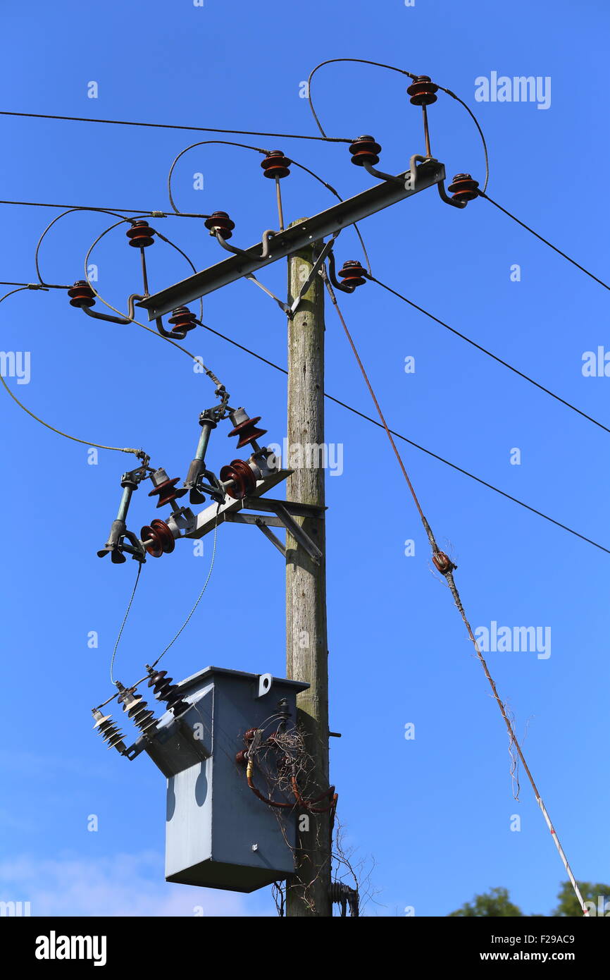 Telegraph pole, Herefordshire, England Stock Photo