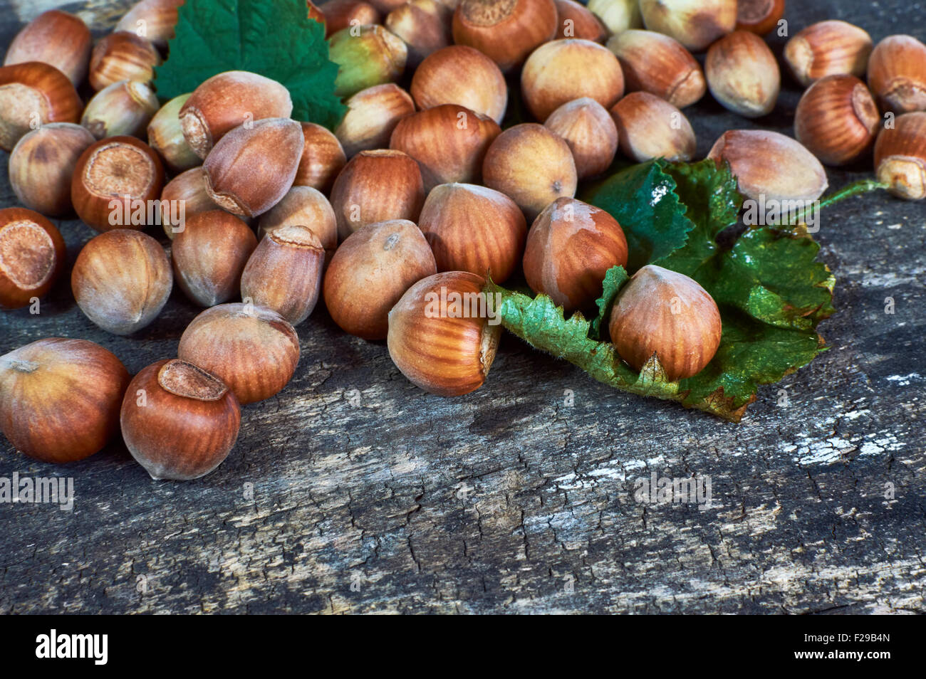 Fresh brown hazelnut on wooden table whit green leaf. Selective focus Stock Photo